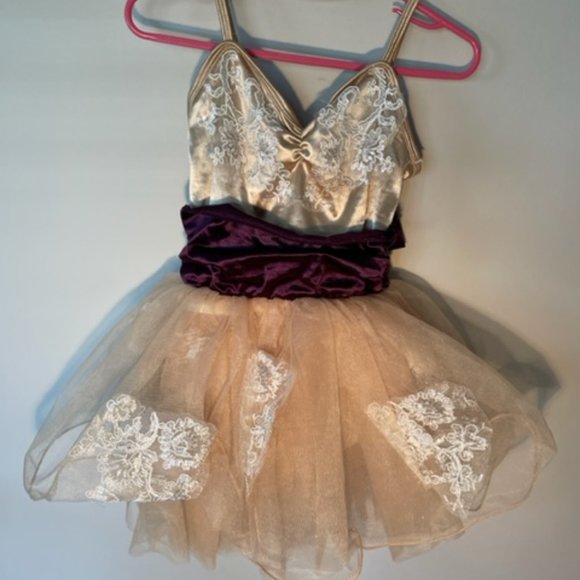 Weissman Once Upon a Dream Tutu Dance Dress - Picture 3 of 5